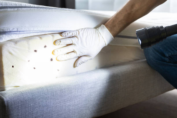 Pest Control for Restaurants in Newton, KS