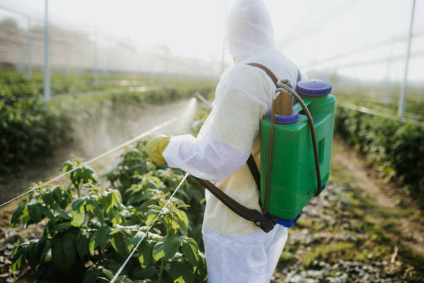 Best Exterminator Services  in Newton, KS